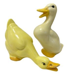 Garden Ducks (2)